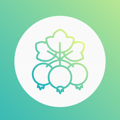 currant linear icon isolated on white