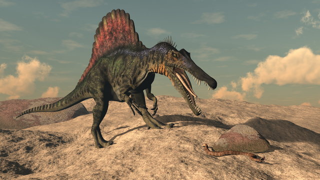 Spinosaurus dinosaur hunting a snake - 3D render