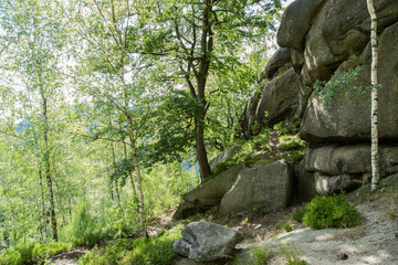 Wanderweg, Landschaft auf dem Treppenstein; Naturpark Harz, Sommer