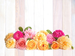 Beautiful English roses on wooden background look like painting
