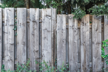 Gartenzaun aus Holz mir Efeu