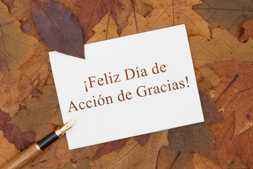 Happy Thanksgiving Greeting Card in Spanish
