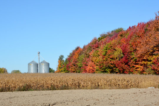 ANGE- GARDIEN QUEBEC CANADA 10 07 2016: Corns Farms In Ange Gardien Located Within The Rouville Regional County Municipality In The Province's Monteregie Region 