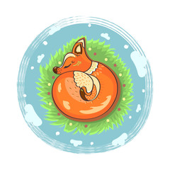 Summer. Fox asleep in the grass. Color vector illustration.