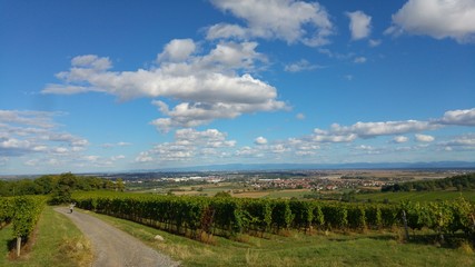 Paysage Plaine D'Alsace (2)