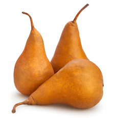 pears © bergamont