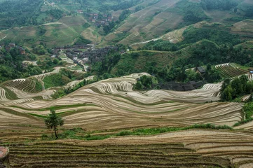 Foto op Canvas Lonjii rice terraces, Guilin, China © Alessandro Orati