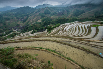 Lonjii rice terraces, Guilin, China