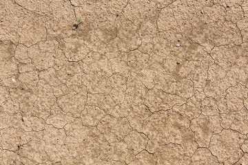 Trockenheit
