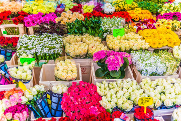 New market in Amsterdam, Netherlands