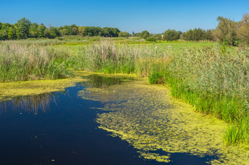 Landscape with small river Kolomak and nearest meadow at summer season, Ukraine