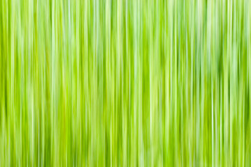 Natural background - vertical lines in yellow-green shades