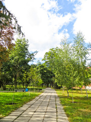 Alley in a green park on early autumn