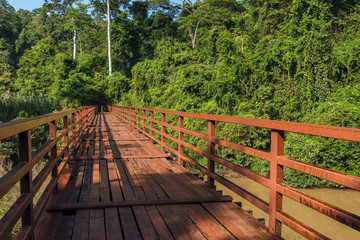 Wooded bridge over the river to forest at Khao Yai National Park, Thailand