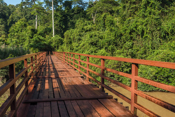 Fototapeta premium Wooded bridge over the river to forest at Khao Yai National Park, Thailand
