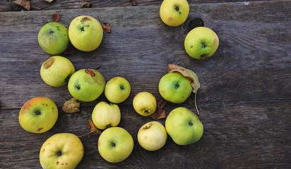 apples on a dark wood background