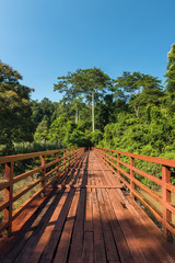 Fototapeta na wymiar Wooded bridge over the river to forest at Khao Yai National Park, Thailand