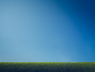 blue sky and grass floor.