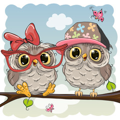 Obraz premium Two cute Cartoon Owls