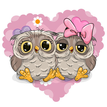Two Cute Owls