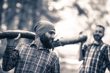 Two friends Lumberjack carrying wooden trunk. - obrazy, fototapety, plakaty