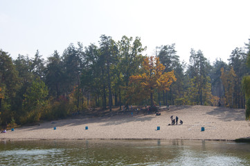 lake beack near autumn forest