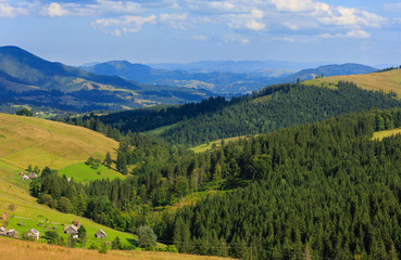 Summer mountain view (Carpathian, Ukraine).