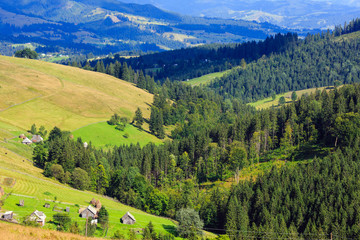 Summer mountain view (Carpathian, Ukraine).