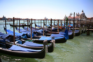 venezia
