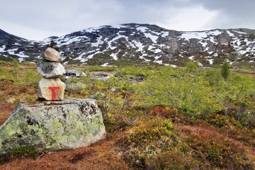 Trail in Norway