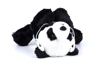 Panda with human daily activity on white isolated  