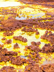 Lake Dallol in Danakil Depression, Ehtiopia