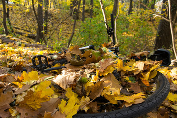 Bicycle in the leaves