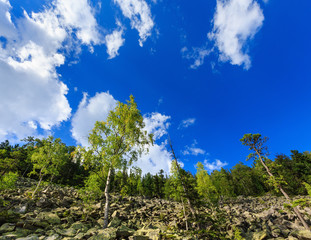 Fototapeta premium Summer Ihrovets mountain view (Carpathian, Ukraine).