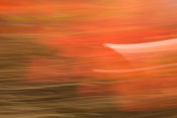blurred motion fall background