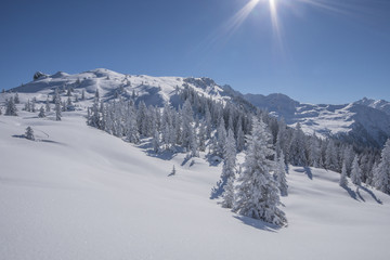 Fototapeta na wymiar Verschneite Winterlandschaft