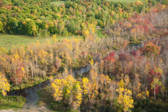 Fall Colors