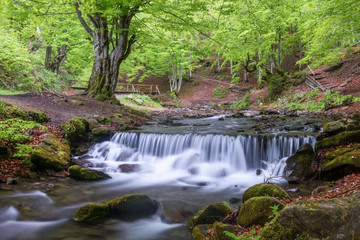 waterfall