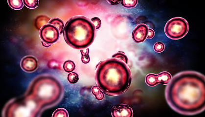 Cells divide by mitosis. 3d render, scientific illustration