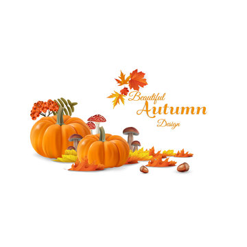 Beautiful autumn vector photorealistic still life, with autumn maple leaves and autumn pumpkins. Vector design in autumn theme.

