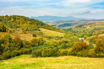 Obraz premium Rural area in Carpathian mountains