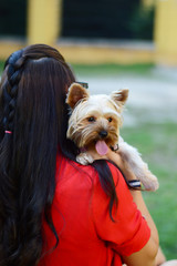 a yorkie and a girl