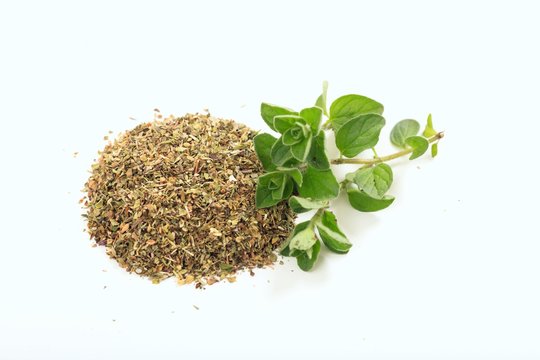 Fresh And Dried Oregano On White Background