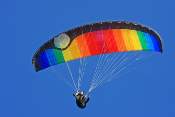 Paraglider