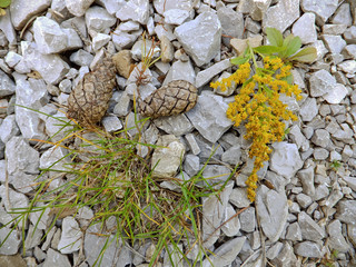 autumn atmosphere     © amadeusz