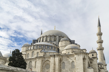 Fototapeta na wymiar Suleymaniye Mosque Exterior, Istanbul, Turkey