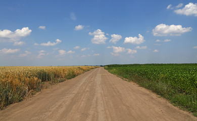 Ground road between two agricultural fields