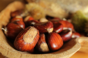Obraz premium Castagne