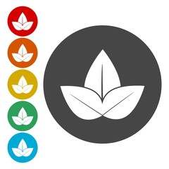 Ecology icon. Vector leaf