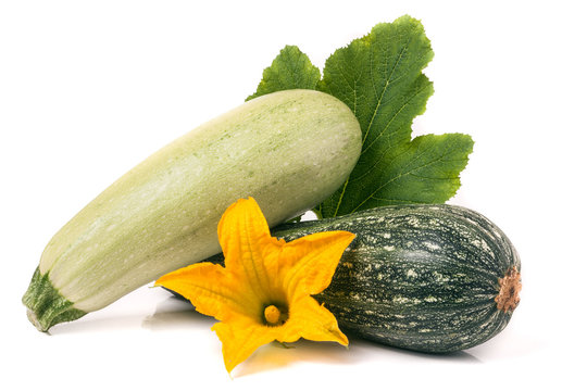zucchini and squash with flower  leaf isolated on white background